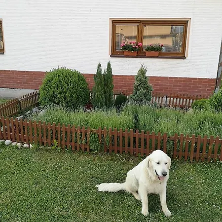 Lenka Homestay
